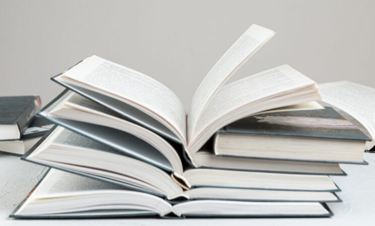 В российских школах единые учебники по русскому языку появятся в 2027 году