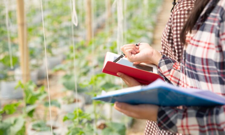 В России расширили перечень заказчиков целевого обучения за счет бюджета