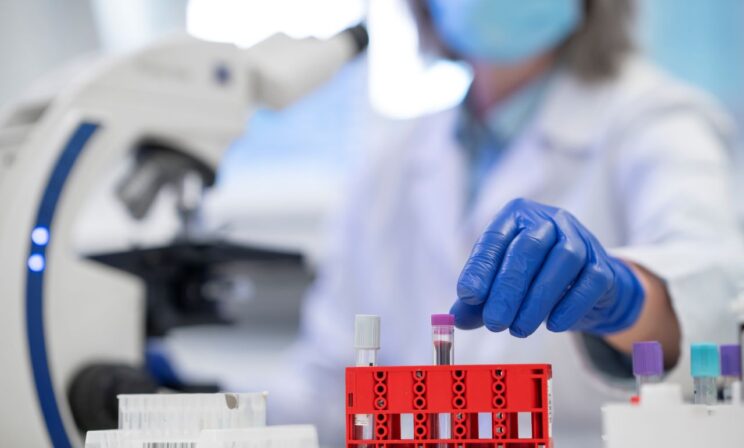 Российские ученые нашли морскую бактерию, которая убивает рак