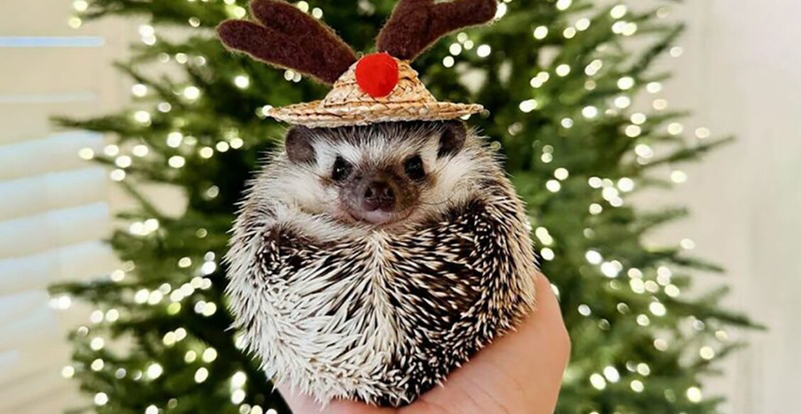 Скоро пробьют куранты! 10 фото с праздничным настроением