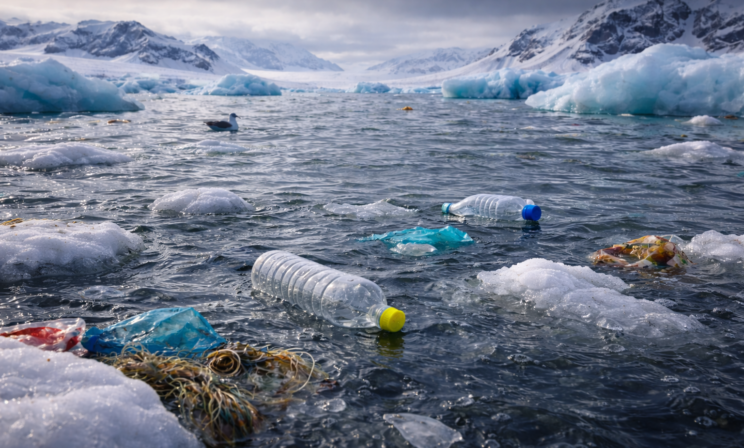 Российские ученые обучили ИИ находить плавающий мусор в арктических морях