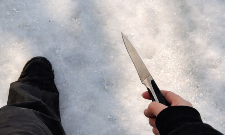 В Воронеже шестиклассница пришла в школу с ножом ради съемки контента