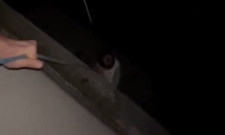 В Воронеже проверяют видео с ребенком, которого спустили на тросе из окна 7 этажа