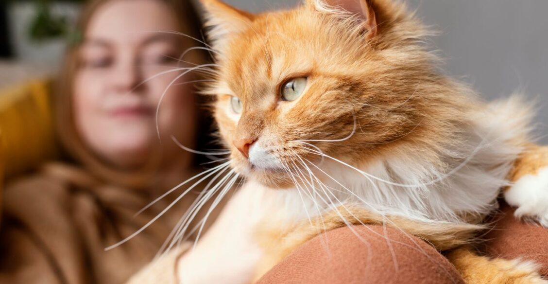 Исследование генетиков: кошки помогут победить рак груди