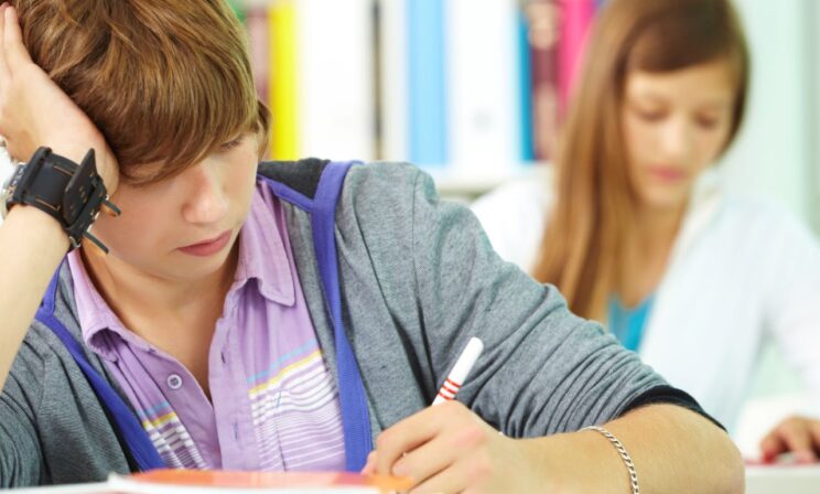 Опрос: почти половина школьников выбирают колледжи из-за нежелания сдавать ЕГЭ