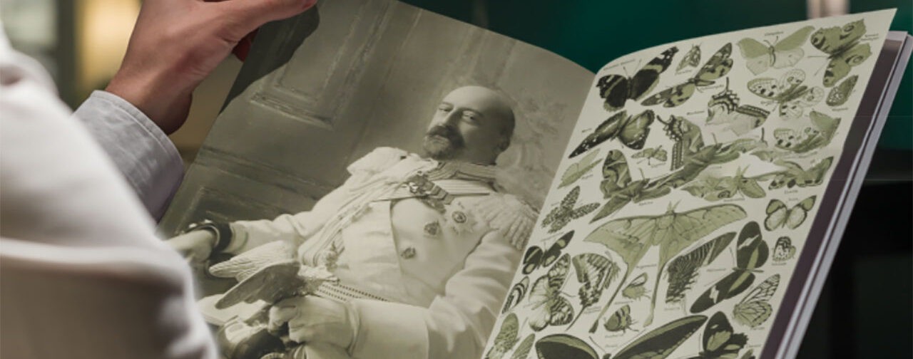 «Из-за малейшей ошибки в немецком слове нас лишали сладкого». Как учились дети в царской семье