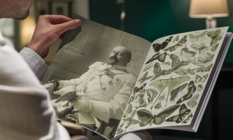 «Из-за малейшей ошибки в немецком слове нас лишали сладкого». Как учились дети в царской семье