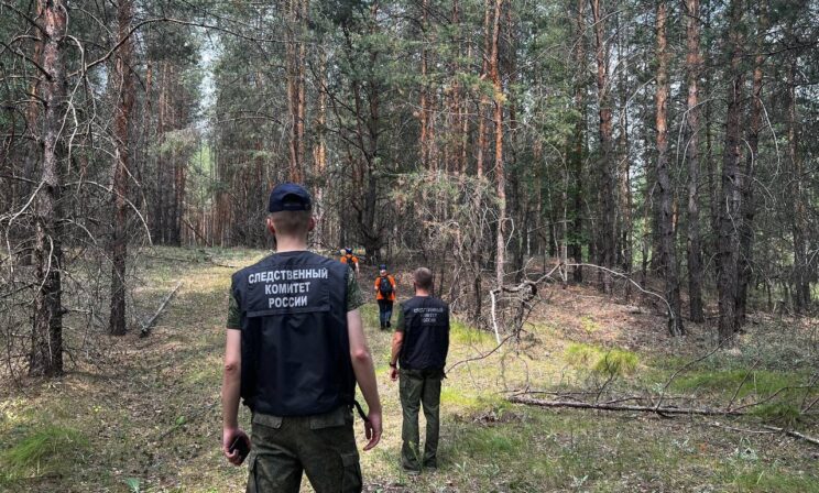 Пропавшая в Самарской области трехлетняя девочка найдена живой в лесу