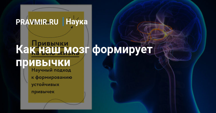 Любовь формирующая мозг ребенка. Книга как любовь формирует мозг ребенка. Мозг ребенка книга. Книга как любовь формирует мозг ребенка. Как любовь формирует мозг.